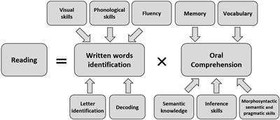 Do gifted children without specific learning disabilities read more efficiently than typically developing children?